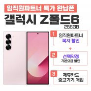 [선택약정] 갤럭시 Z 폴드6 256G